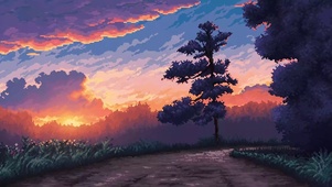 森林道路