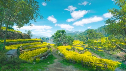 乡村田野小路菜花