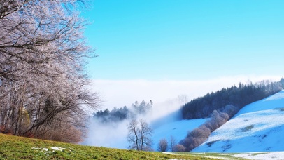 【4K实拍】延迟摄影樱花与雪山