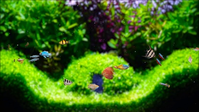 护眼绿草水族馆