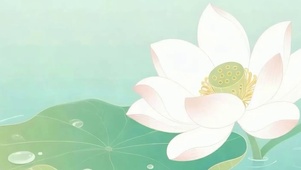 夏天荷花带鱼屏