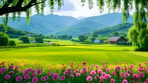 绿色护眼田园鲜花