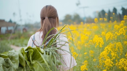 油菜花田中的少女