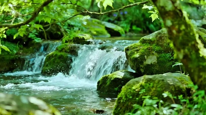 治愈山间小溪4K