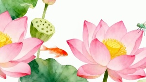 夏天荷花蜻蜓鱼带鱼屏