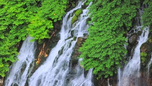 清新护眼溪流