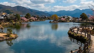 护眼树木河流带鱼屏