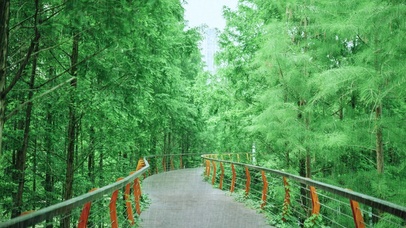 静听雨声，远离声嚣