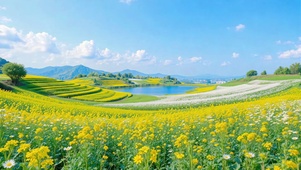 护眼蓝天下绝美田园风光