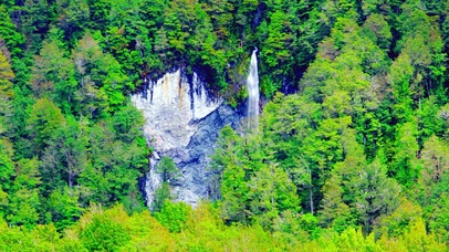 唯美护眼绿林 4K