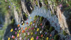 小溪-花草 4k