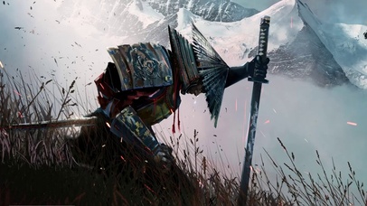 国风武士
