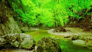 唯美护眼溪流 4K