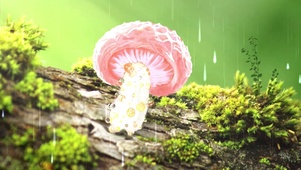 酷炫蘑菇