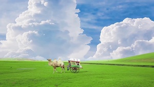 宫崎骏的夏天~
