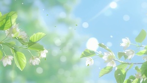 护眼花草树木景色带鱼屏双屏