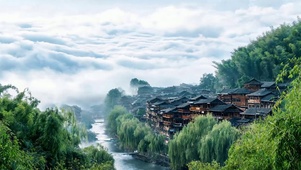 云雾树木