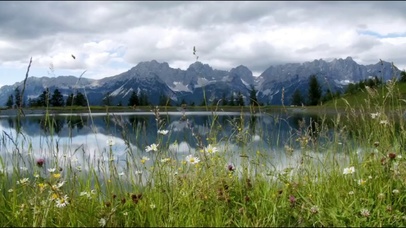 我想我们应该坐在一起发呆