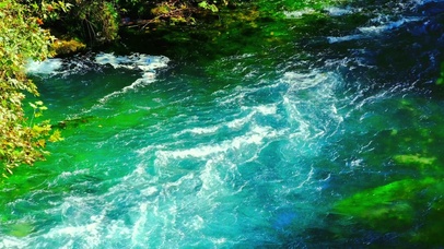 护眼绿林流水 4K