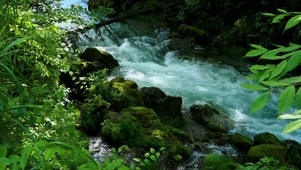 山涧溪流