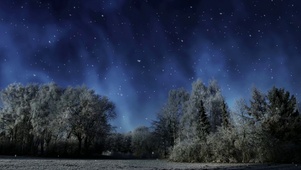4K超清夜晚雪景