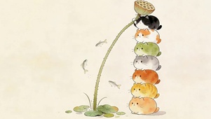 可爱小清新