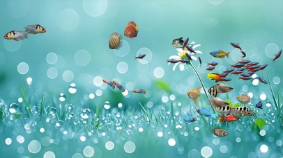 4k护眼露珠雏菊水族箱