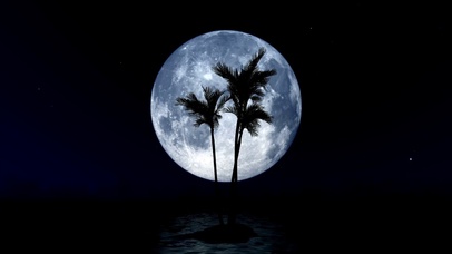 寂静夜晚