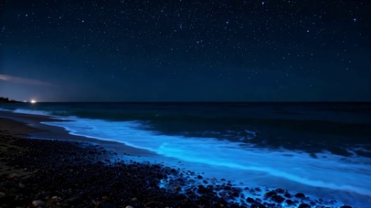 梦幻蓝眼泪星空海岸夜景