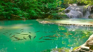 夏日碧水潭