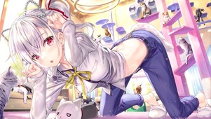 4K萌系学猫叫