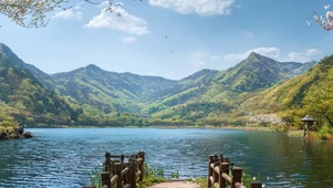 护眼树木河流山川带鱼屏