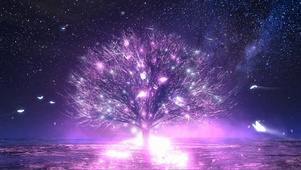 满天繁星