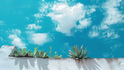 蓝天下的墙边多肉