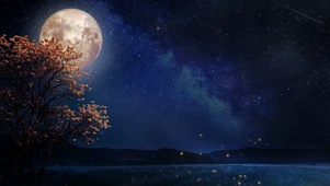 星夜与萤火虫