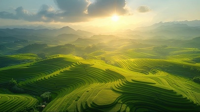 绿色护眼落日梯田