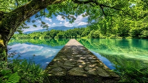 林间小道