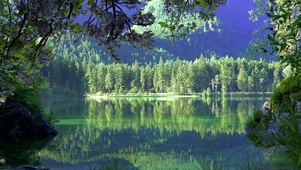 绿林山涧潭水