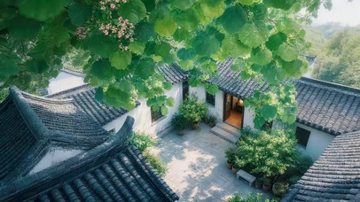 绿荫下古院