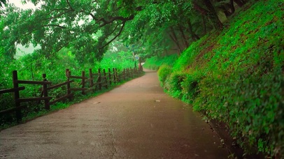 护眼雨天小路