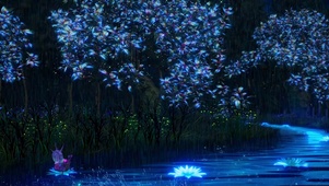 梦幻雨夜