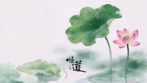 清荷悟禅心