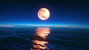 月下大海