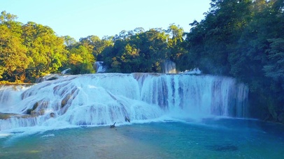 绝美森林瀑布4K