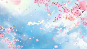 4K仰望天空樱花飘落春分浪漫