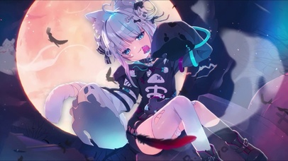 小白猫1