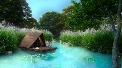 在舒适的湖边环境钓鱼