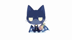 蝙蝠猫