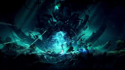 好大的毒蜘蛛啊！