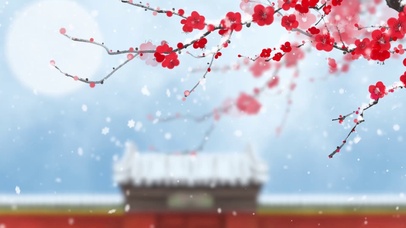 中国古风，冬日限定：寒梅